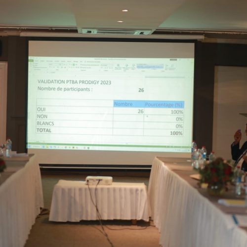 Validation_PTBA_2023_PRODIGY